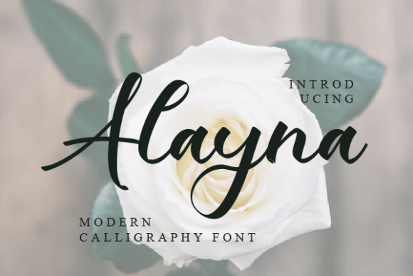 Alayna: A Script Font That Elevates Editorial Design with Grace and Clarity