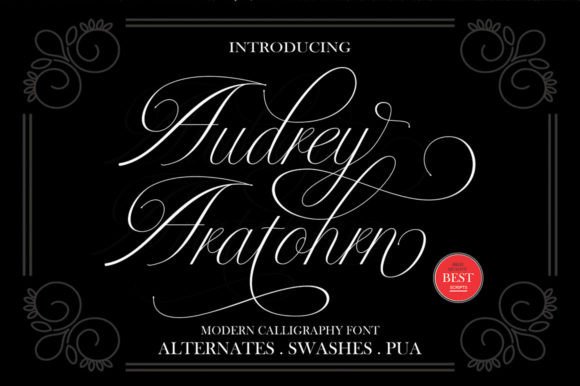 Audrey Aratohrn: A Small Business Owner’s Secret to Elegant Brand Typography