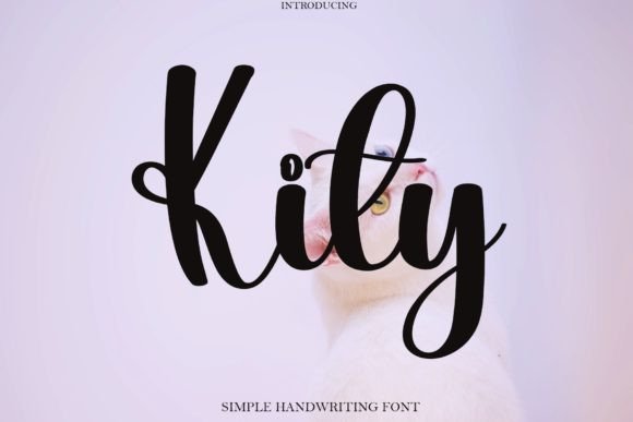 How a Simple Font Upgrade with Kity Transformed My Small Business Branding