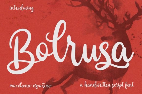 How Bolrusa Transformed My Small Business Branding