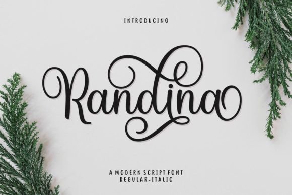 How Randina Font Elevates Campaign Visuals with Elegance and Impact
