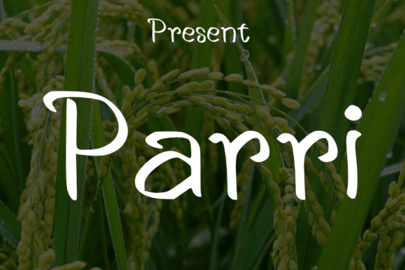 Parri: A Modern Handwritten Font for Elegant Web Typography