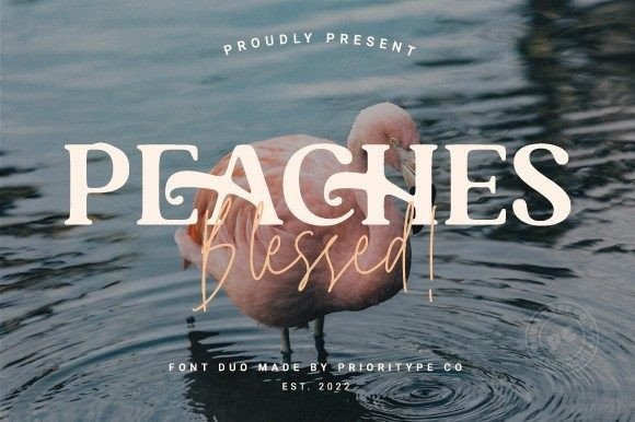 Peaches Blessed Duo: A Premium Serif and Script Font