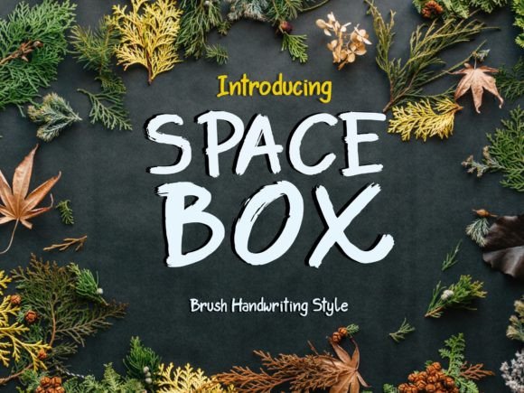 Space Box: The Script Font for Bold Campaigns